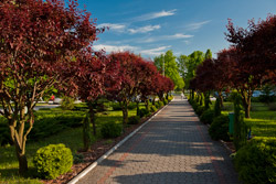 Sanatorium Włókniarz Busko-Zdrój